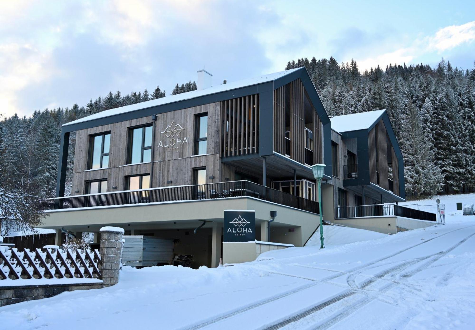 Aloha Suites - Alpin Lodge Haus Haus im Ennstal Exterior foto
